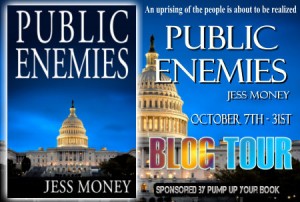 Public Enemies banner