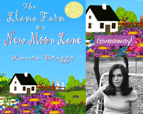 New Moon Giveaway Collage