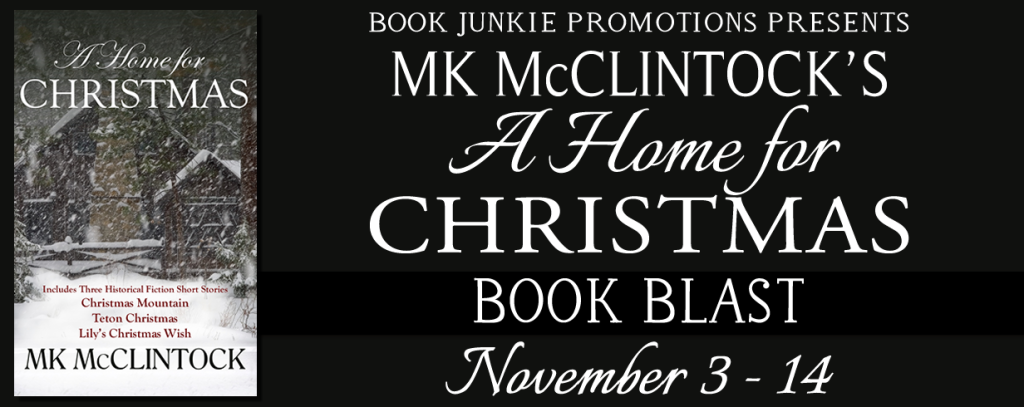 Introducing A Home For Christmas By M K McClintock mkmclintock 